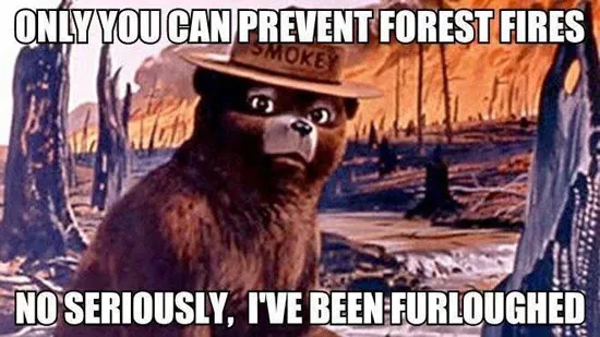 Smokey the Bear Furloughed